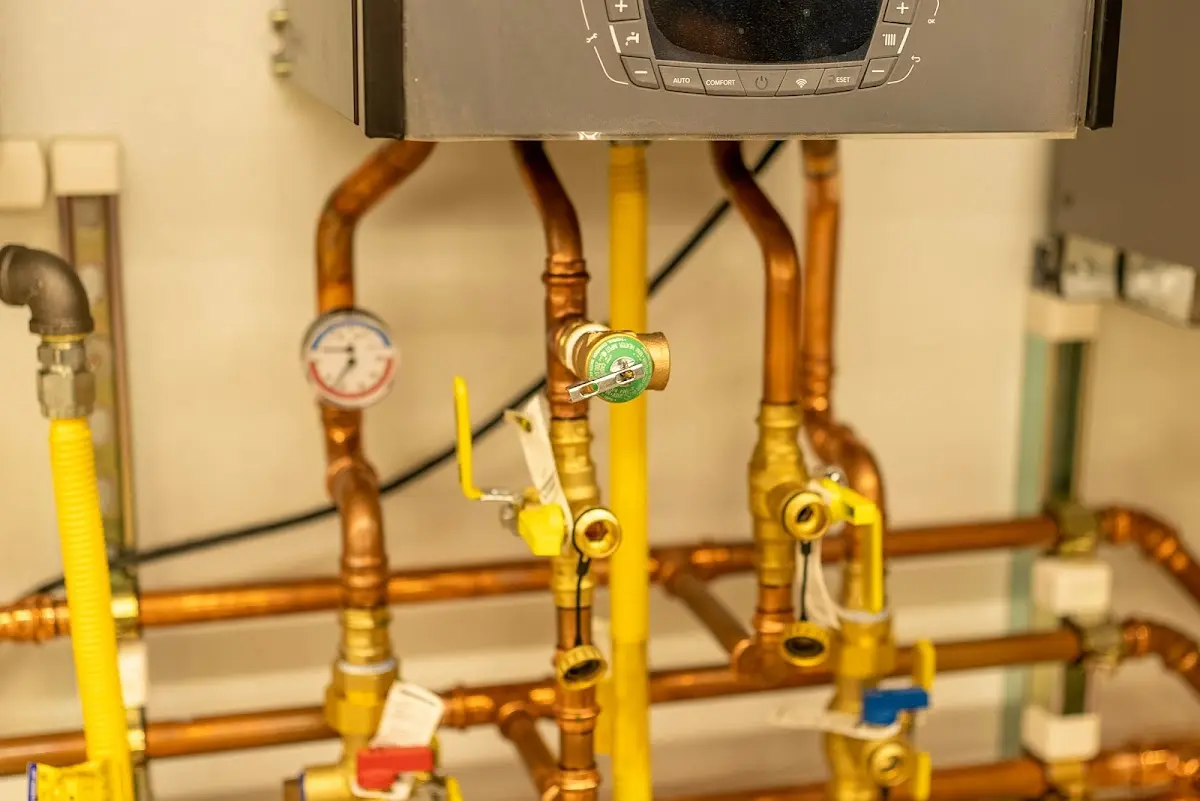 Licensed technician providing Sump Pump Repair for a homeowner in Elmwood